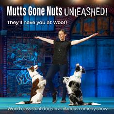 MUTTS GONE NUTS - UNLEASHED!